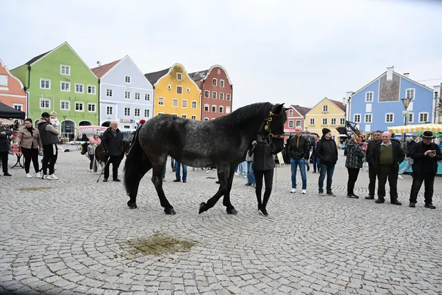 Foto: Thomas Fischer
