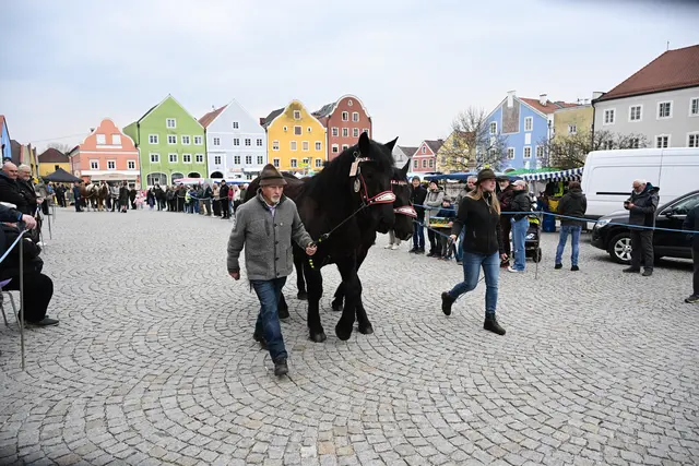 Foto: Thomas Fischer