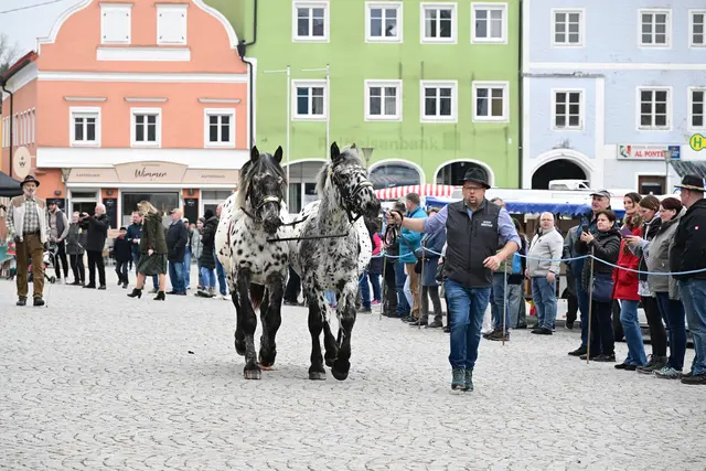 Foto: Thomas Fischer