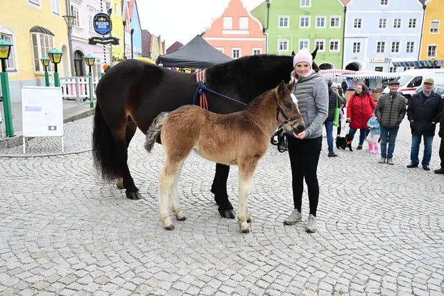 Foto: Thomas Fischer