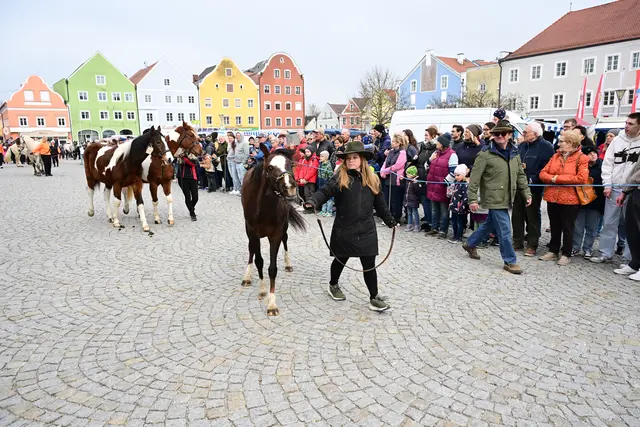 Foto: Thomas Fischer