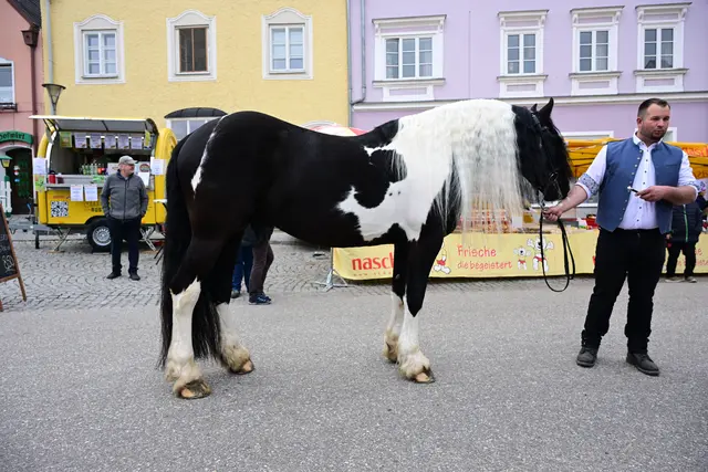 Foto: Thomas Fischer