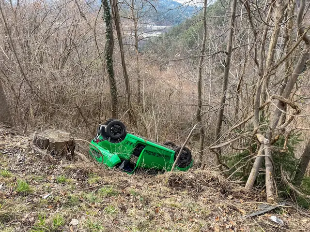 Fahrer wurde durch seinen Hund abgelenkt und stürzte mit dem Pkw ab. | Foto: zeitungsfoto.at