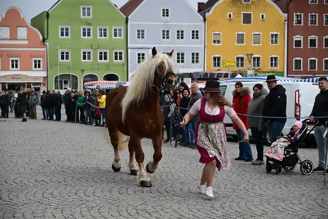 Foto: Thomas Fischer