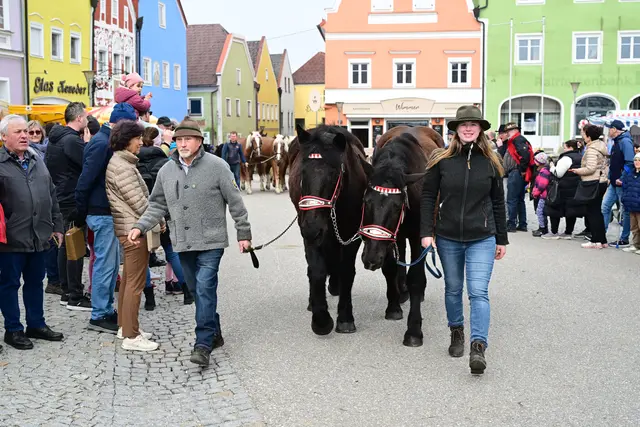 Foto: Thomas Fischer
