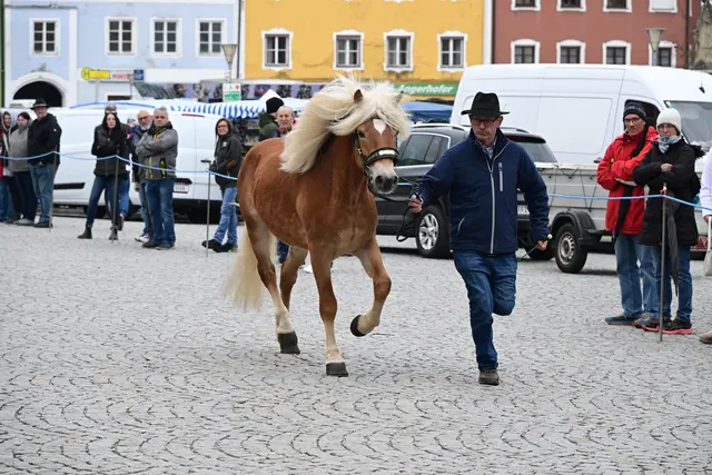 Foto: Thomas Fischer