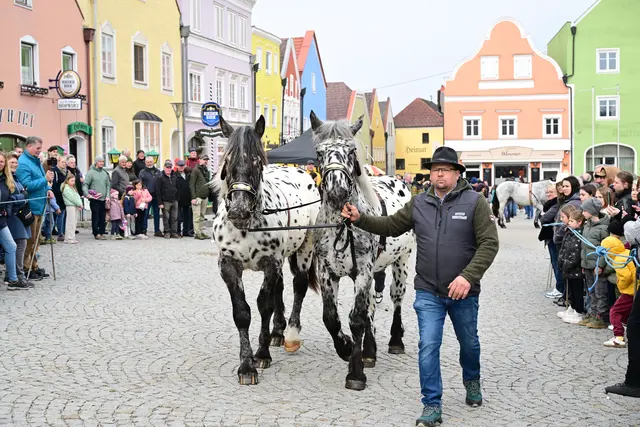 Foto: Thomas Fischer
