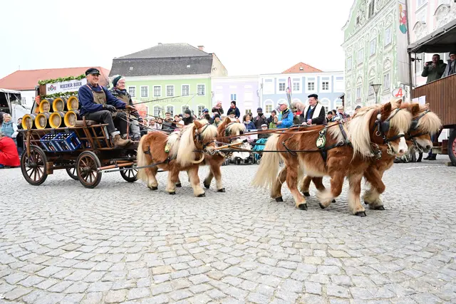Foto: Thomas Fischer