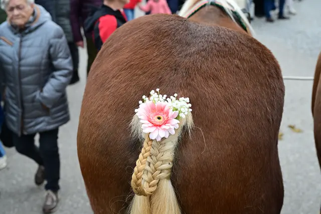 Foto: Thomas Fischer