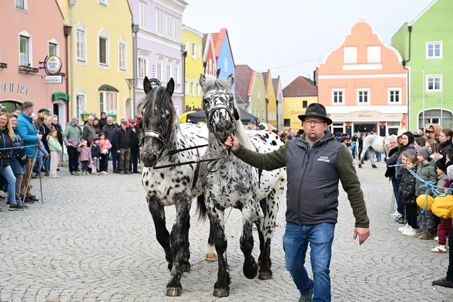 Foto: Thomas Fischer