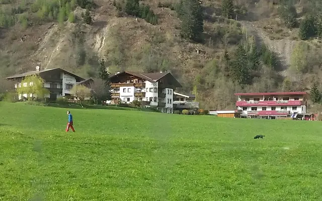 Verstoß gegen Landespolizei- und Feldschutzgesetz. Felder dürfen zur Zeit des Graswuchses nicht betreten werden! | Foto: TBW Est. Stubai