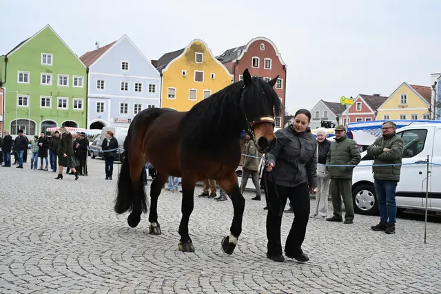 Foto: Thomas Fischer