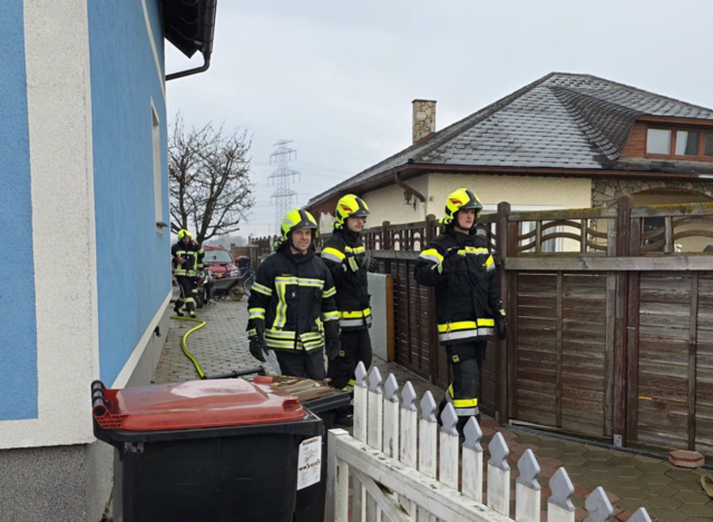 Bereits nach rund einer halben Stunde konnten die Einsatzkräfte den Einsatz beenden. | Foto: DOKU NÖ