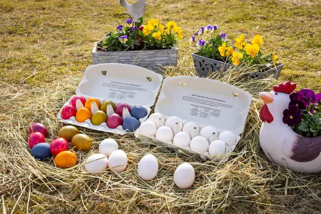 Warum immer mehr Betriebe auf Tierwohl und Regionalität setzen