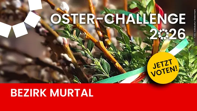 Jetzt abstimmen und Lieblings-Palmbuschen wählen!