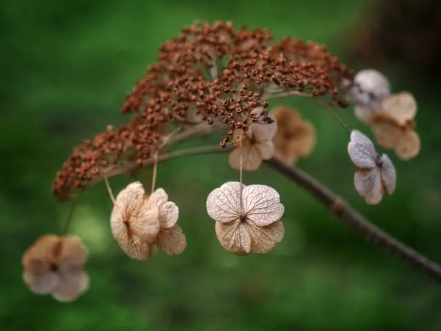 "Kettenkarussell" | Foto: Sabine Mayer