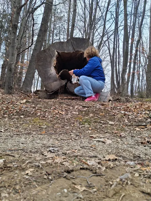 So ein großer hohler Stamm 😃 | Foto: Gold Michaela