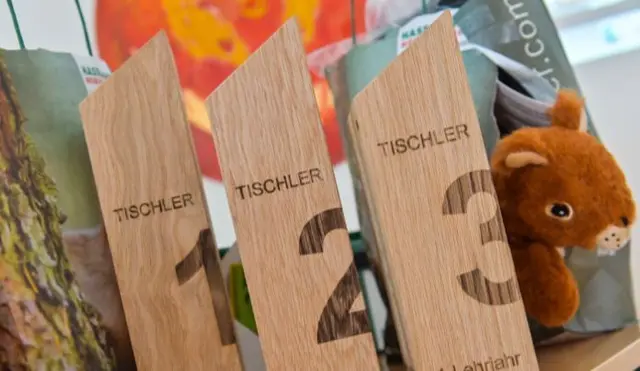 Bei dem Bezirkslehrlingswettbewerb der Tischler gab es eine Rekordbeteiligung. | Foto: WKK/PSB-Media