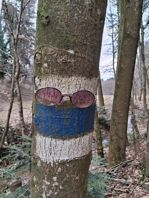 Am Retourweg des 1. Versuchs - Brille gefunden. Bin gespannt, ob sie noch am Baum ist | Foto: Gold Michaela