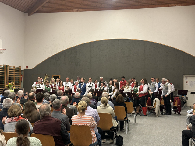 Das Orchester begeisterte die Massen | Foto: Lukas Leidenfrost
