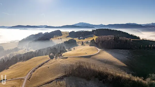 Nebel im kleinen Erlauftal | Foto: Harald Haselsteiner