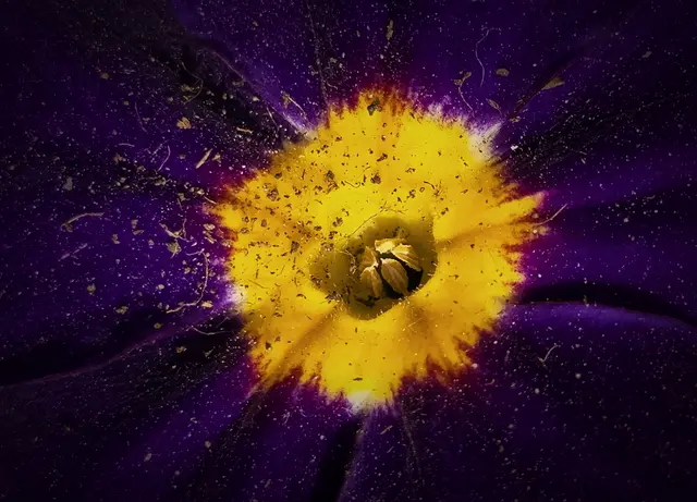 Nimm dir Zeit die stillen Wunder zu entdecken, die in der lauten Welt oft übersehen werden  | Foto: Margarete Czerwinski