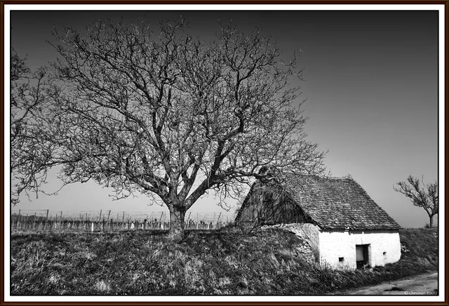 Weinkeller in Röschitz | Foto: Christian Bautz