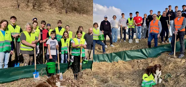 Links: Das Team, das heuer den Amphibienschutzzaun im Flanitztal (Kefermarkt) aufstellte. Rechts: Diese Menschen installierten dieses Jahr den Froschzaun in der Ortschaft Selker in Pregarten. | Foto: Heidi Kurz