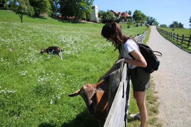 Buschenschank geschlossen – die Besucher am Lustbühel stehen vor verschlossenen Türen