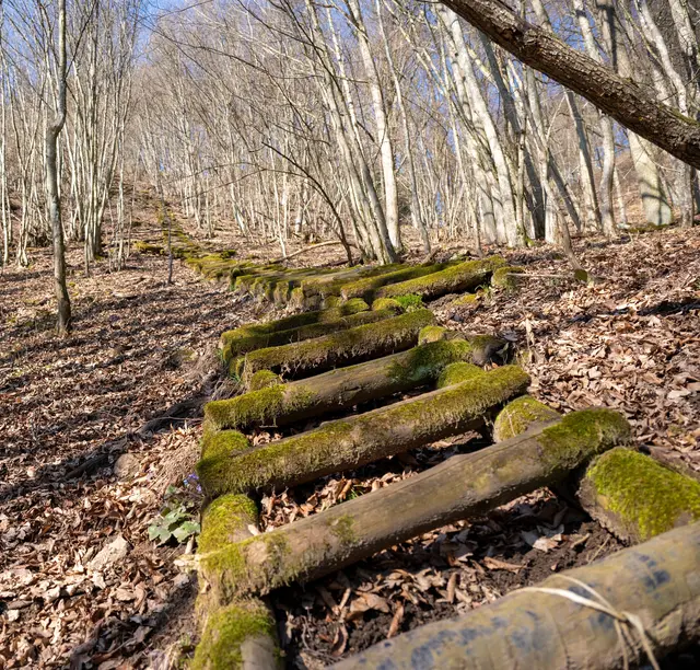 Himmelsleiter | Foto: Markus Pufler