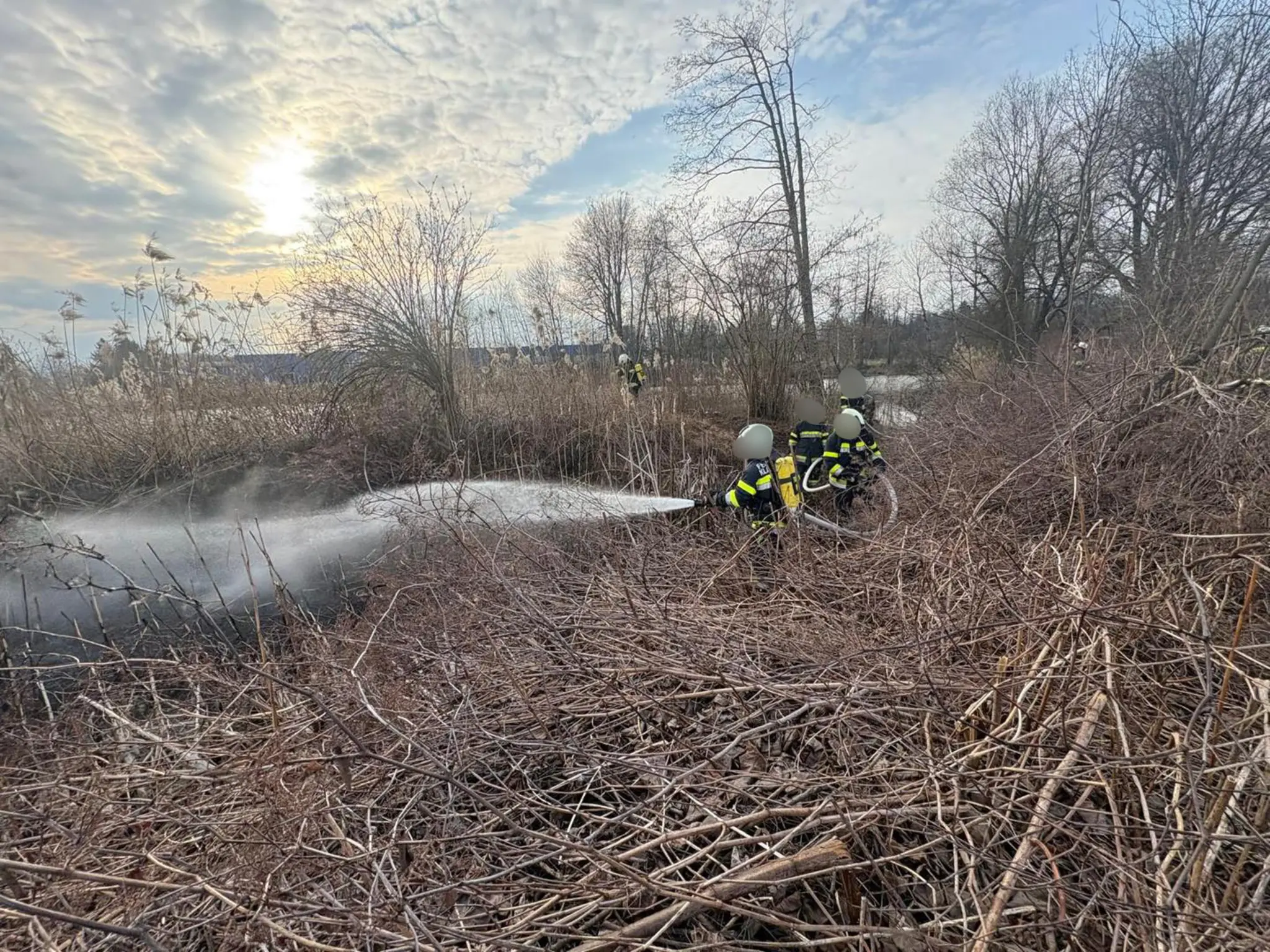 Klagenfurt Fire Department on the scene: About 100 square meters of reeds ...