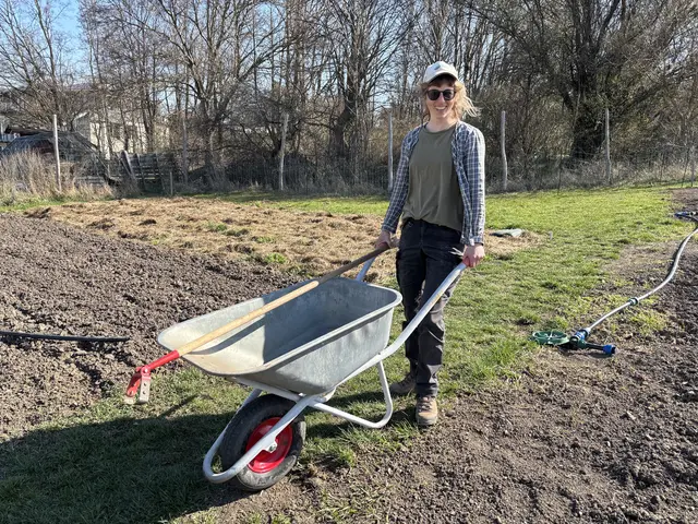 "Die Mühe zahlt sich aus, denn unser Gemüse schmeckt wirklich, wirklich gut. Viele unserer Kunden sagen, dass es sie an ihre Kindheit erinnert", sagt Eva Ganzberger. | Foto: Mathias Kautzky/MeinBezirk