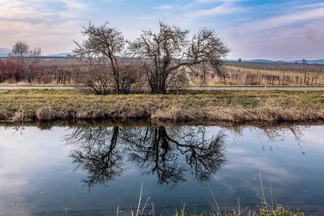 Wiener Neustädter Kanal | Foto: Peter Ackermann