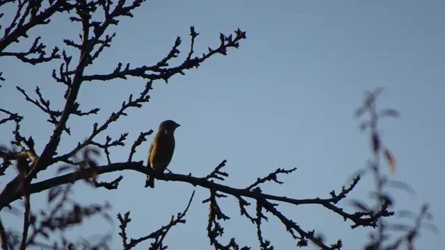 Foto: © Silvia Plischek