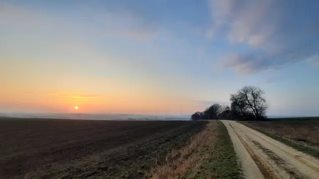 Morgenstimmung | Foto: Werner Mayer