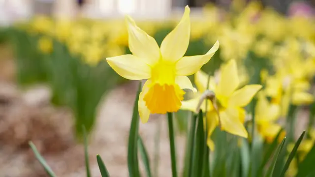 Vor dem Wintereinbruch wird es noch sonnig und mild in Wien