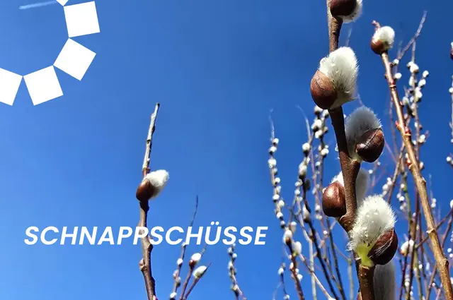 Schnappschüsse des Monats März aus Niederösterreich. | Foto: Franz Zeitlhofer