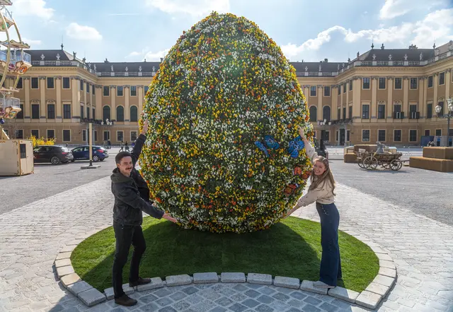 Die Gärtnerfamilie Starkl sorgt mit einem blühenden Riesen-Osterei am Schönbrunner Oster- und Frühlingsmarkt für eine florale Attraktion. | Foto: CHmedia