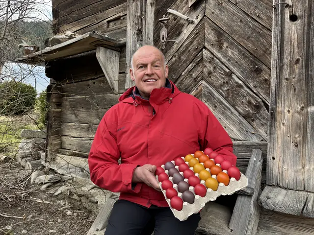 Dieter Obereder sorgt auch zu Ostern dafür, dass niemand auf sein Bioei verzichten muss. Gefärbt wird mit biologischen Farbstoffen. | Foto: MeinBezirk/Isabella Friessnegg