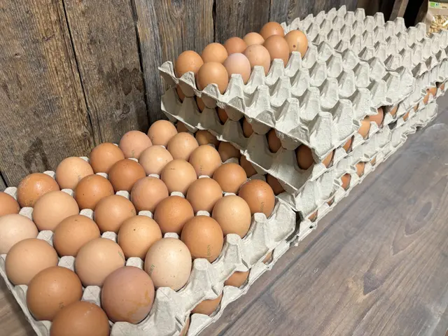 Foto: MeinBezirk/Isabella Friessnegg
