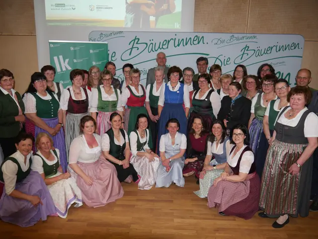 Von vorbildlicher Betriebsführung bis Ehrenamt - 39 Ehrungen in Stainz