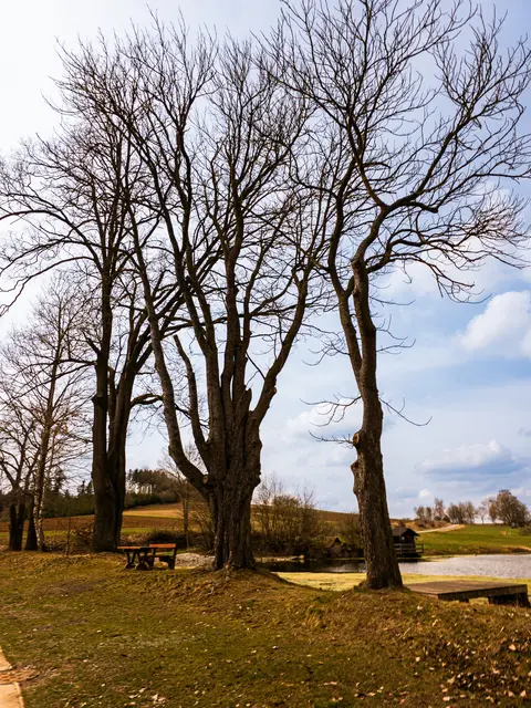 Teiche im Waldviertel