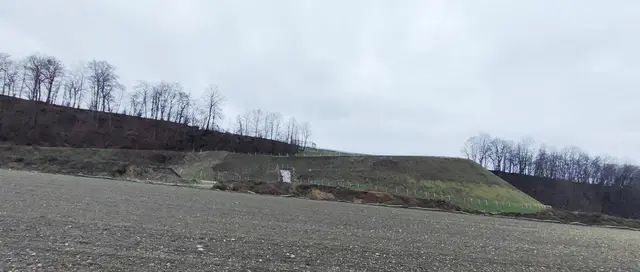 Aufregung um Waldrodung für Kiesabbau in Stadl-Paura