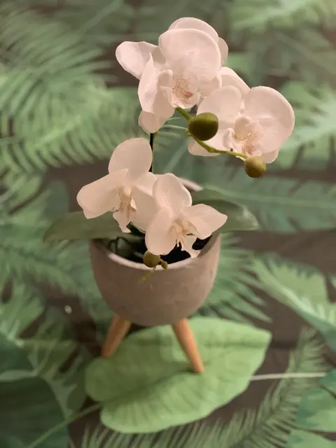 Foto: Tamara Wögerbauer