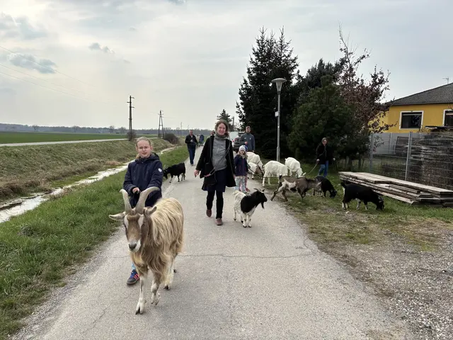Foto: Claudia Bräuer