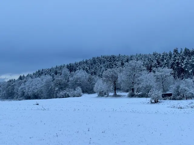 Kaltfront bringt kurzes Winter-Comeback nach Kärnten