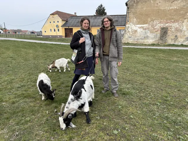 Foto: Claudia Bräuer