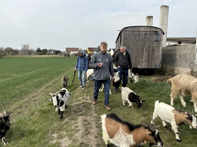 Foto: Claudia Bräuer