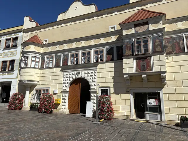 17 Tagesordnungspunkte standen bei der Gemeinderatssitzung in Eisenstadt am Programm.  | Foto: Stefan Schneider/MeinBezirk