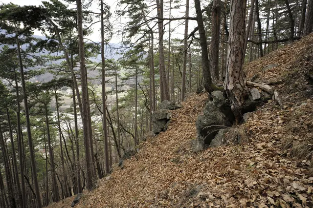 Foto: Santrucek
